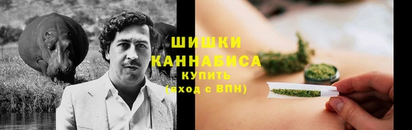 гашик Арсеньев