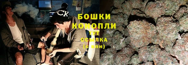 ПСИЛОЦИБИНОВЫЕ ГРИБЫ Алексеевка