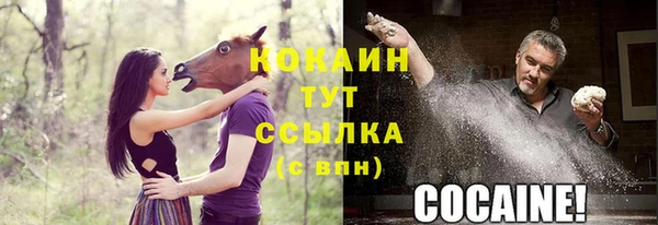 гашик Арсеньев
